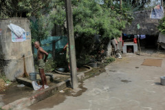 Indien_Krokodile_Budhha_Tempelruine_2024-29