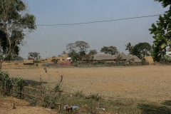 Indien_Krokodile_Budhha_Tempelruine_2024-30