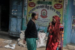 Indien_Krokodile_Budhha_Tempelruine_2024-33