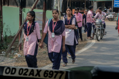 Indien_Krokodile_Budhha_Tempelruine_2024-34