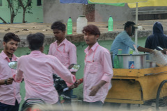 Indien_Krokodile_Budhha_Tempelruine_2024-35