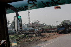 Indien_Krokodile_Budhha_Tempelruine_2024-37