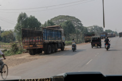 Indien_Krokodile_Budhha_Tempelruine_2024-38