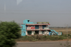 Indien_Krokodile_Budhha_Tempelruine_2024-39