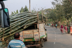 Indien_Krokodile_Budhha_Tempelruine_2024-40