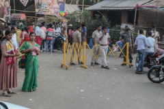 Indien_Krokodile_Budhha_Tempelruine_2024-44