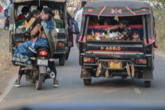 Indien_Krokodile_Budhha_Tempelruine_2024-46
