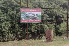 Indien_Krokodile_Budhha_Tempelruine_2024-5