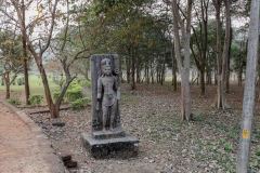 Indien_Krokodile_Budhha_Tempelruine_2024-50