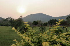 Indien_Krokodile_Budhha_Tempelruine_2024-51