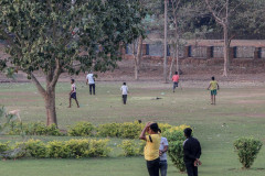 Indien_Krokodile_Budhha_Tempelruine_2024-52