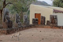 Indien_Krokodile_Budhha_Tempelruine_2024-55