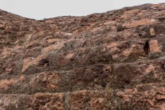 Indien_Krokodile_Budhha_Tempelruine_2024-58