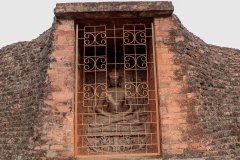 Indien_Krokodile_Budhha_Tempelruine_2024-59