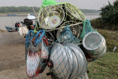 Indien_Krokodile_Budhha_Tempelruine_2024-6