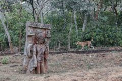 Indien_Krokodile_Budhha_Tempelruine_2024-60