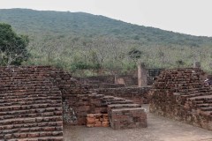 Indien_Krokodile_Budhha_Tempelruine_2024-61