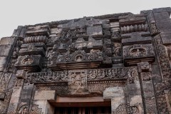 Indien_Krokodile_Budhha_Tempelruine_2024-64