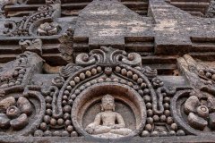 Indien_Krokodile_Budhha_Tempelruine_2024-65