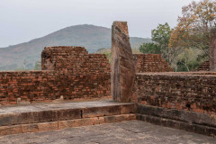 Indien_Krokodile_Budhha_Tempelruine_2024-66