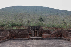 Indien_Krokodile_Budhha_Tempelruine_2024-67