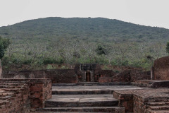 Indien_Krokodile_Budhha_Tempelruine_2024-68