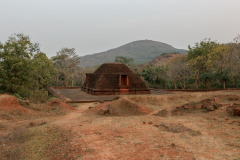 Indien_Krokodile_Budhha_Tempelruine_2024-69