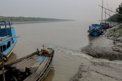 Indien_Krokodile_Budhha_Tempelruine_2024-7