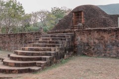 Indien_Krokodile_Budhha_Tempelruine_2024-70