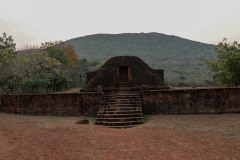 Indien_Krokodile_Budhha_Tempelruine_2024-71