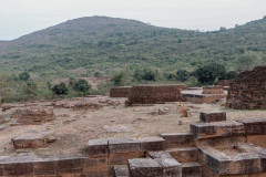 Indien_Krokodile_Budhha_Tempelruine_2024-72