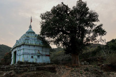 Indien_Krokodile_Budhha_Tempelruine_2024-74