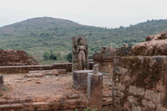 Indien_Krokodile_Budhha_Tempelruine_2024-75