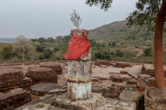 Indien_Krokodile_Budhha_Tempelruine_2024-76