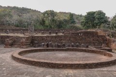 Indien_Krokodile_Budhha_Tempelruine_2024-77