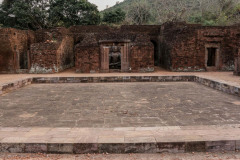 Indien_Krokodile_Budhha_Tempelruine_2024-78