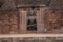 Indien_Krokodile_Budhha_Tempelruine_2024-79