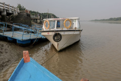 Indien_Krokodile_Budhha_Tempelruine_2024-8