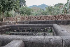 Indien_Krokodile_Budhha_Tempelruine_2024-81