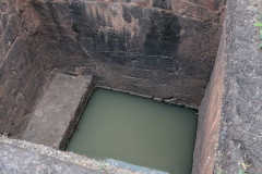 Indien_Krokodile_Budhha_Tempelruine_2024-82