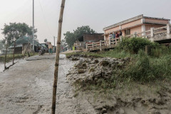 Indien_Krokodile_Budhha_Tempelruine_2024-9