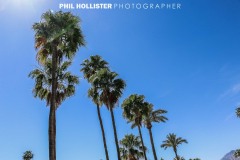 Palm_Springs_Resorts_2017-5626