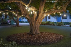 Postcard_Inn_StPete_2022-20