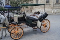 Sevilla_2023-146