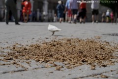 Sevilla_2023-26