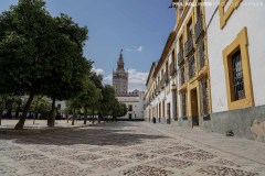 Sevilla_2023-30