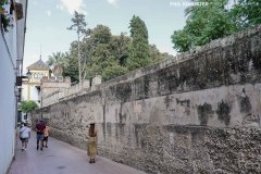 Sevilla_2023-37