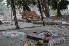 Indien_Hindu_Tempel_2024-121