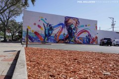 Central_StPete_2022-11