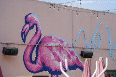 Central_StPete_2022-28